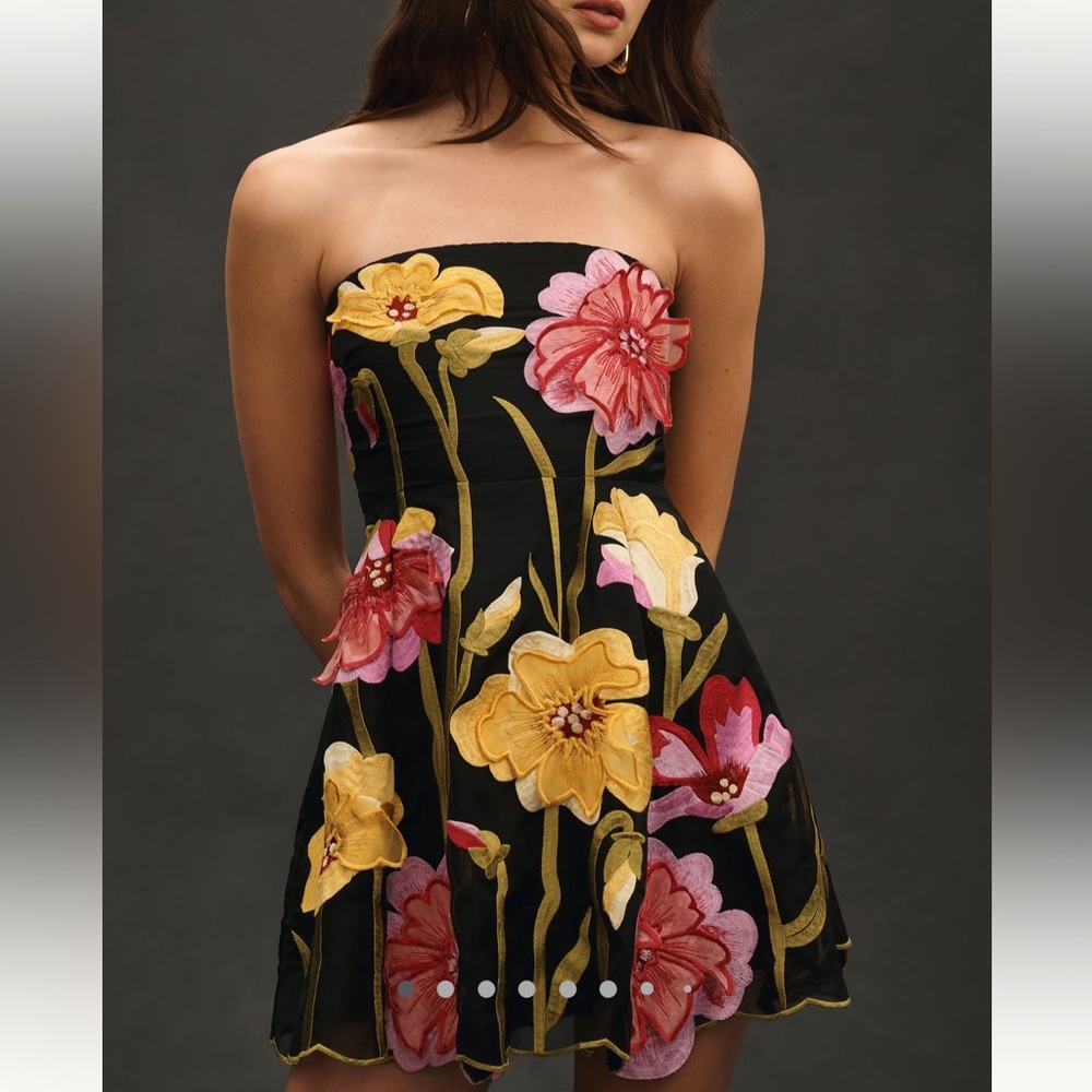 Anthropologie Floral Organza Mini Dress